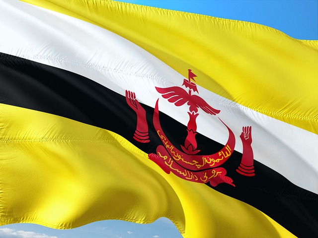 Prepaid SIM Cards in Brunei
